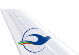 پرواز به بلیط هواپیما پویا ایر